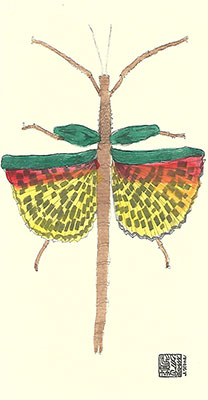 Bug Box