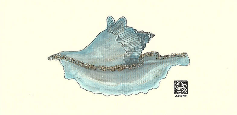 223SS-Singles - Rooster Conch - Singles