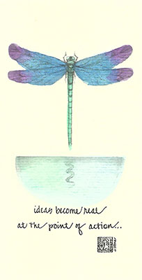 03c-Box - Dragonfly - Box of 8 or 10