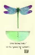 03p-Dragonfly - Dragonfly - Poster