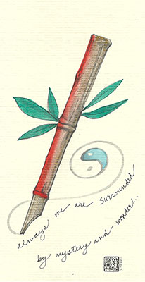 117c-Singles - Bamboo Pen - Singles