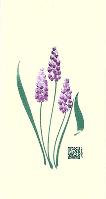 bh87-Box - Blue Hyacinth - Box of 8 or 10