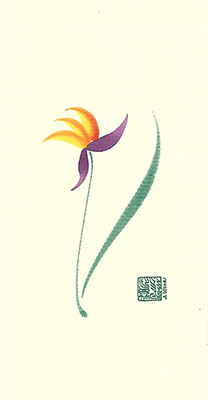 bp42-Box - Bird of Paradise - Box of 8 or 10