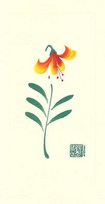 fl96-box - Fire Lily - Box of 8 or 10