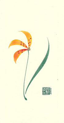 ht62-box - Hawaiian Ta'uta - Box of 8 or 10