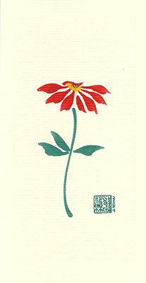 po65-box - Poinsettia - Box of 8 or 10