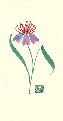 sh82-box - Sheelah's Flower - Box of 8 or 10