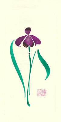 si69-box - Siberian Iris - Box of 8 or 10