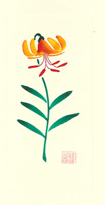 tl79-box - Tiger Lily - Box of 8 or 10