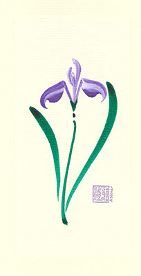 wi81-box - Wild Iris- Box of 8 or 10