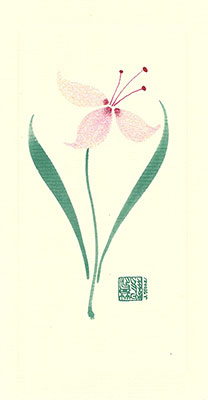 soc72-Box - Snow Orchid - Box of 8 or 10